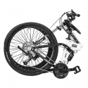ZEPHYR Foldable Bicycle in 26 Inch (Black)