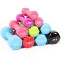VINYL Dumbbell (0.5-10KG) VINYL Dumbbell (0.5-10KG)