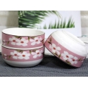 Japanese Ceramic Elementary 4 Pcs Dishware Set【花语 - 红】