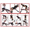 FITNET 7-Position Folding Workout Bench - JIJI.SG