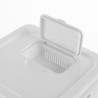 Gustav Rice Container - JIJI.SG
