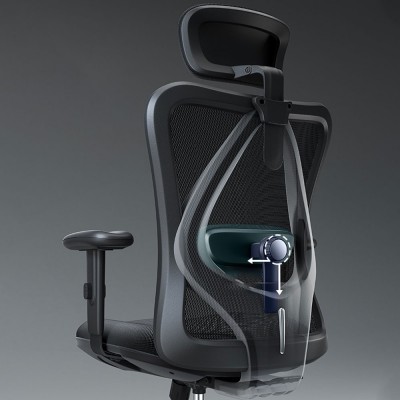 (AS-IS) ASAMI Office Chair