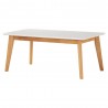 AIMON Coffee Table - JIJI.SG