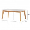 AIMON Coffee Table - JIJI.SG