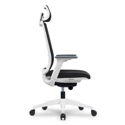 HAIDAR Office Chair HAIDAR Office Chair