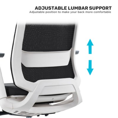 HAIDAR Office Chair HAIDAR Office Chair