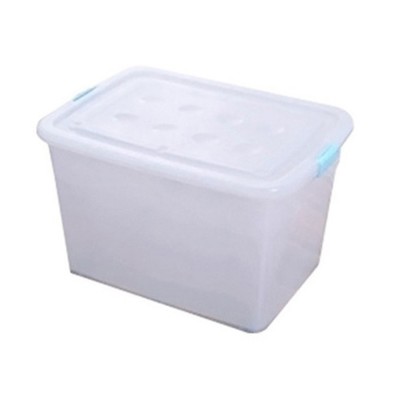 Transparent Storage Box