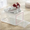 SANYU Shoe Box - JIJI.SG