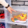 SANYU Shoe Box - JIJI.SG