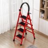 Basic Ladder - JIJI.SG