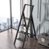 GALAXY Ladder - JIJI.SG