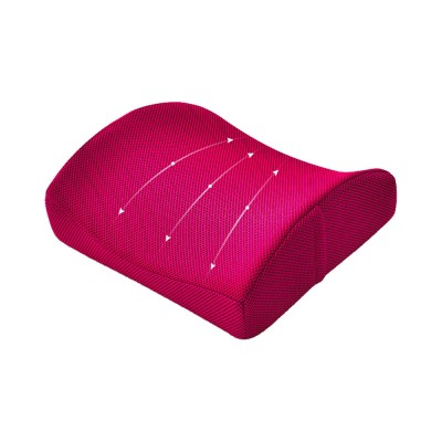 AADI Lumbar and Seat Cushion