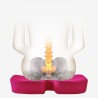 AADI Lumbar and Seat Cushion - JIJI.SG