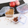 FLATTER Food Container with Lid