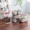 MOLLER Food Container with Lid - JIJI.SG