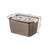 MOLLER Food Container with Lid - JIJI.SG