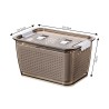 MOLLER Food Container with Lid - JIJI.SG