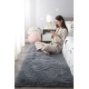 Orion Carpet - JIJI.SG