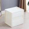 MAKSIM Storage Box - JIJI.SG