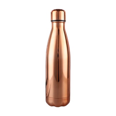 BULLET Vacuum Bottle