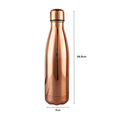 BULLET Vacuum Bottle