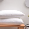 DREAMAX LABHART Pillow