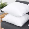 DREAMAX YON Pillow Insert - JIJI.SG