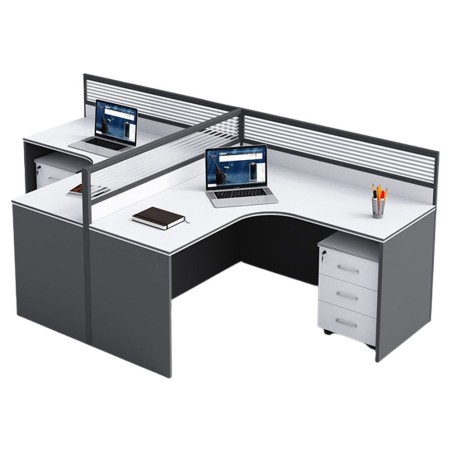 ALPHA T-Panel Partition Work Station