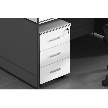 ALPHA T-Panel Partition Work Station