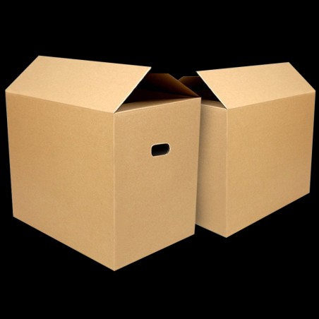 ONES MOVING Carton Box