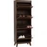 DAKO Shoe Cabinet - JIJI.SG