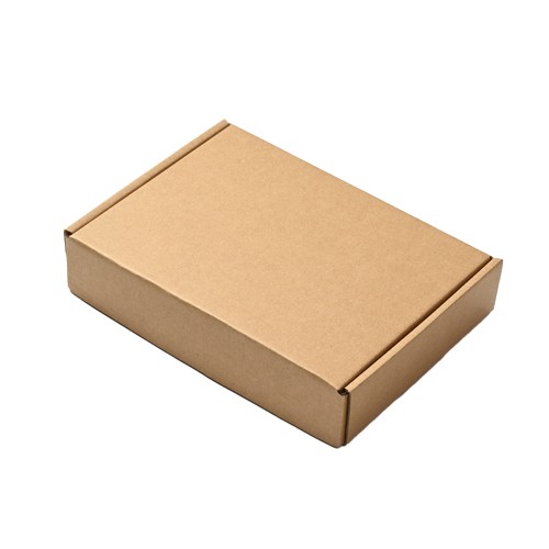 OneParcel PIZZA Carton Box
