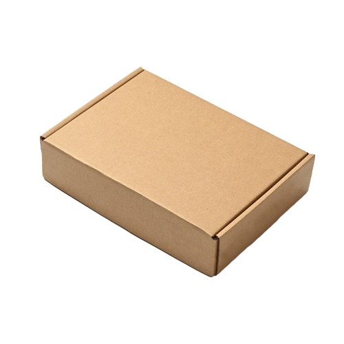 OneParcel PIZZA Carton Box