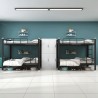 ALGOT/DREAMAX Bunk Bed & Mattress Bundle