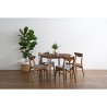 MARCY Dining Chair - JIJI.SG