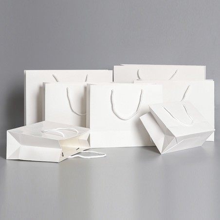 ONES CAREY Premium Paper Bag