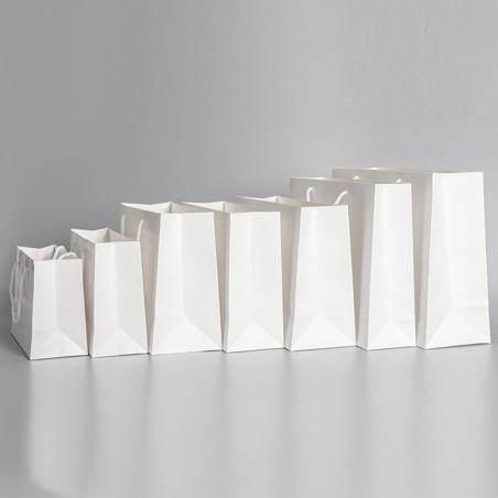 ONES CAREY Premium Paper Bag