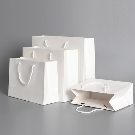 ONES CAREY Premium Paper Bag