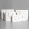 ONES CAREY Premium Paper Bag - JIJI.SG