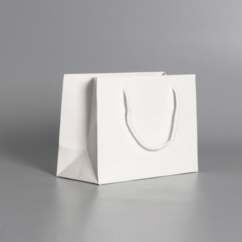 ONES CAREY Premium Paper Bag