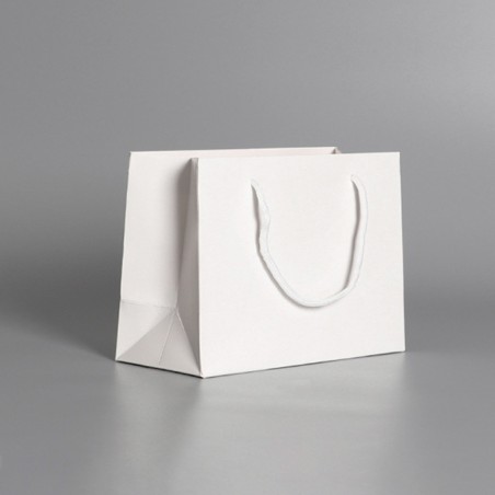 ONES CAREY Premium Paper Bag