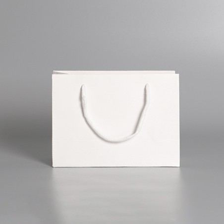 ONES CAREY Premium Paper Bag