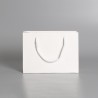 ONES CAREY Premium Paper Bag - JIJI.SG