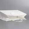 ONES CAREY Premium Paper Bag - JIJI.SG