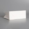 ONES CAREY Premium Paper Bag - JIJI.SG