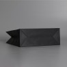ONES CAREY Premium Paper Bag - JIJI.SG