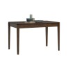 LINDO Extendable Dining Table - JIJI.SG