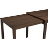 DITTO Extendable Dining Table
