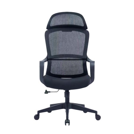 HASTIN Office Chair