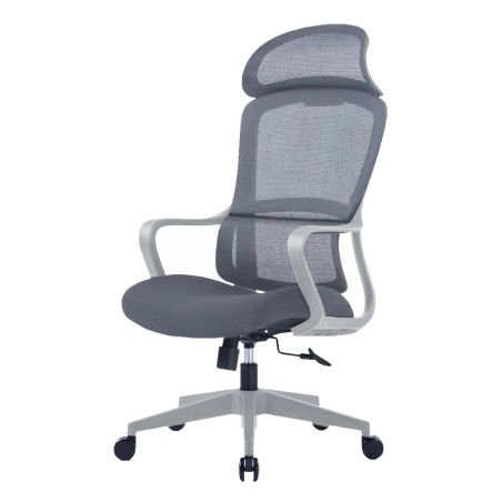 HASTIN Office Chair